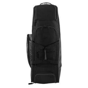 Baseball Bag